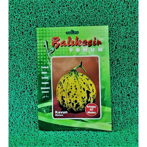 KAVUN ( KIRKAĞAÇ 637 - ALTINBAŞ) TOHUMU 10GR